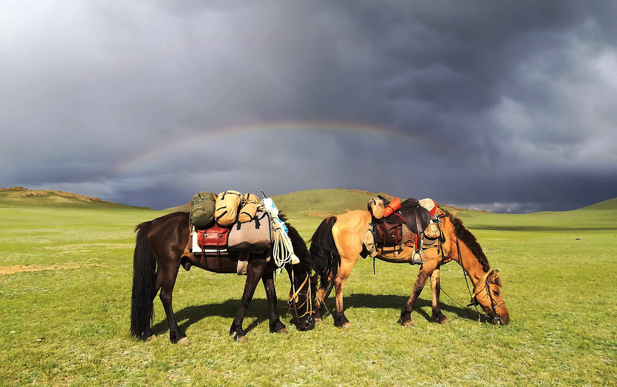 Dritto e Custode nelle steppe della Mongolia